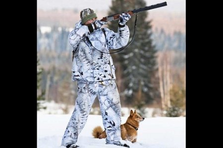 Возможность создания зон натаски и нагонки охотничьих собак вне сроков охоты обсудили в минлесхозе