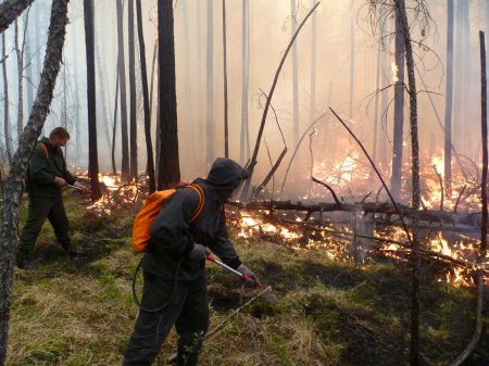 53 единицы лесопожарной техники и оборудования поступили  в Кировскую область в 2019 году