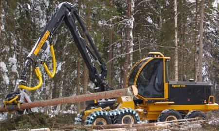 435 тысяч рублей поступит в бюджет от штрафов по результатам регионального госконтроля за деятельностью пунктов переработки древесины в 2019 году