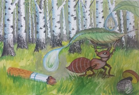 Стартовал областной конкурс детского рисунка «Лес – наша жизнь»