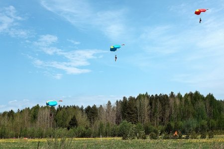 Подготовка к пожароопасному сезону в лесах - на контроле правительства Кировской области