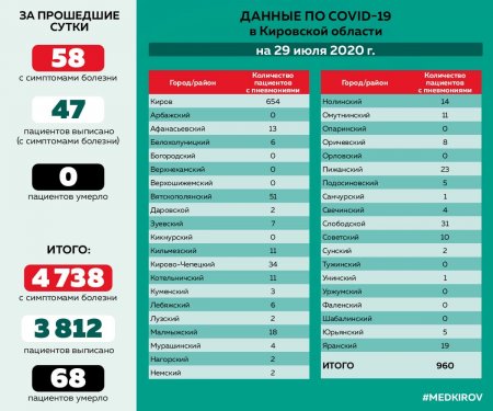 Количество пациентов с COVID-19, протекающим с симптомами вирусной пневмонии, по районам Кировской области на 29.07.2020
