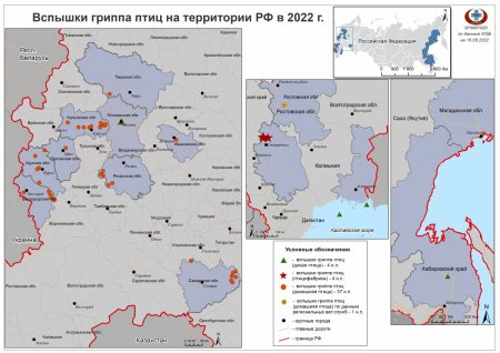 Активные вспышки гриппа птиц на территории Российской Федерации в 2022 г.