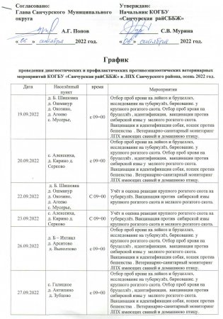 График проведения диагностических и профилактических противоэпизодических ветеринарных мероприятий КОГБУ "Санчурский райСББЖ" в ЛПХ Санчурского района, осень 2022 год