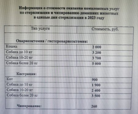 Акции по стерилизации/кастрации, чипированию на территории Кировской области