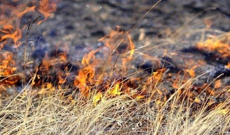 Бесконтрoльное сжигание сухой травы и мусора приводит к пожарам