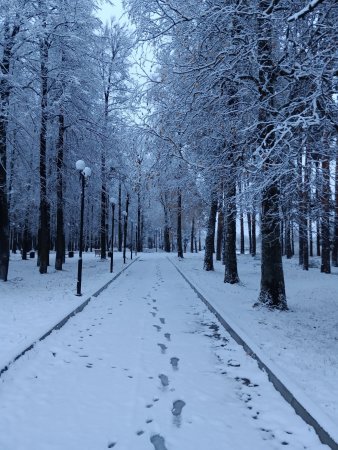 Под белым-белым покрывалом октября