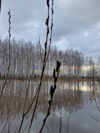 Снижение паводковых вод на реке Большая Когшага
