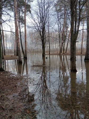 Снижение паводковых вод на реке Большая Когшага