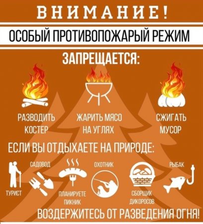 Об установлении особого противопожарного режима на территории Кировской области!